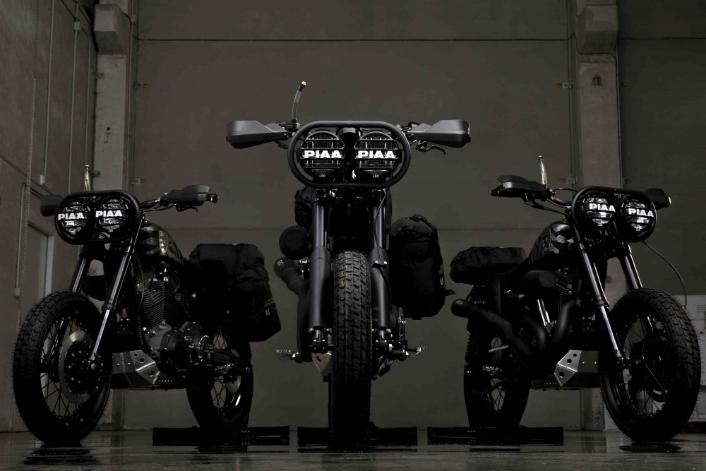 Harley Davidson 1200 Roadster Desert Wolves