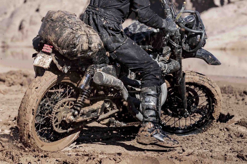 Harley Davidson 1200 Roadster Desert Wolves