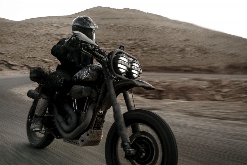 Harley Davidson 1200 Roadster Desert Wolves