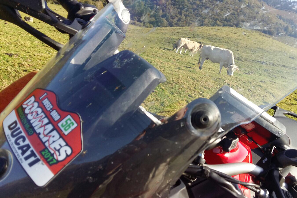 Rallye Dos Mares Ducati