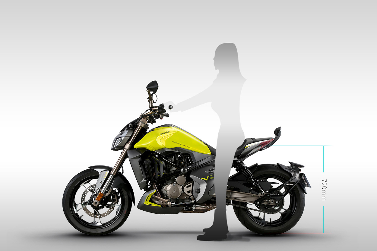 Zontes V 310 Custom