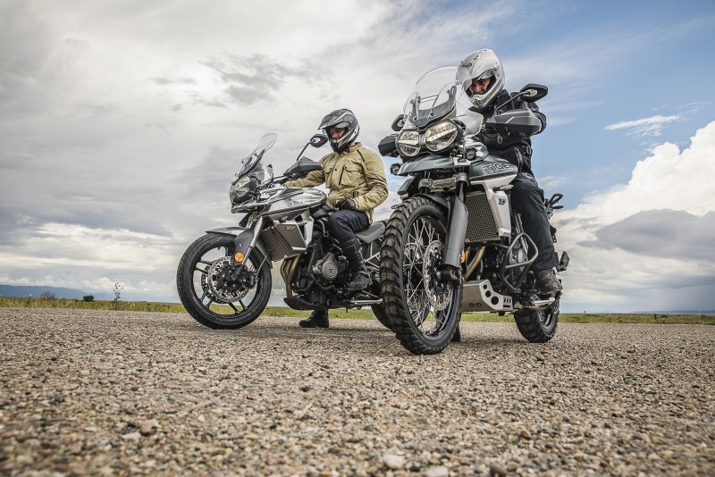 TRIUMPH promo confinamiento