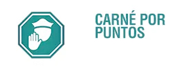 Carnet por puntos