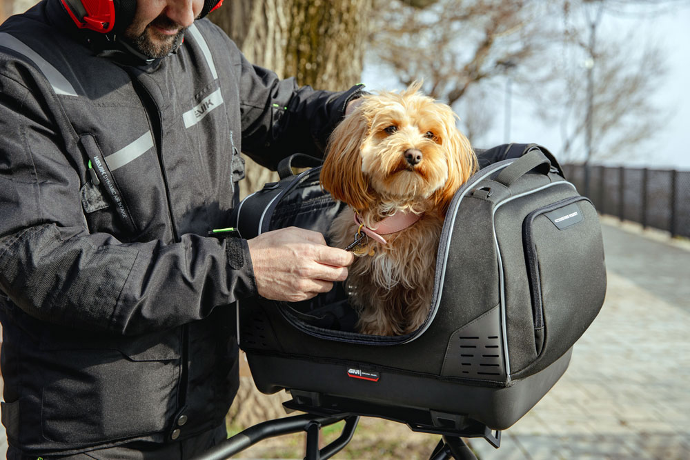 Viaja con tu mejor amigo en moto con la nueva Pet Bag de Givi